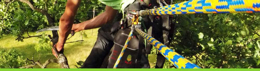 Climbing Ropes