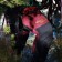 Sip Gecko Big canopy Campout