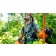 Courant_squir-red-70mtr