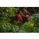 Arbortec Breatheflex Pro Realtree orange
