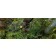 Arbortec Breatheflex Pro Realtree brown
